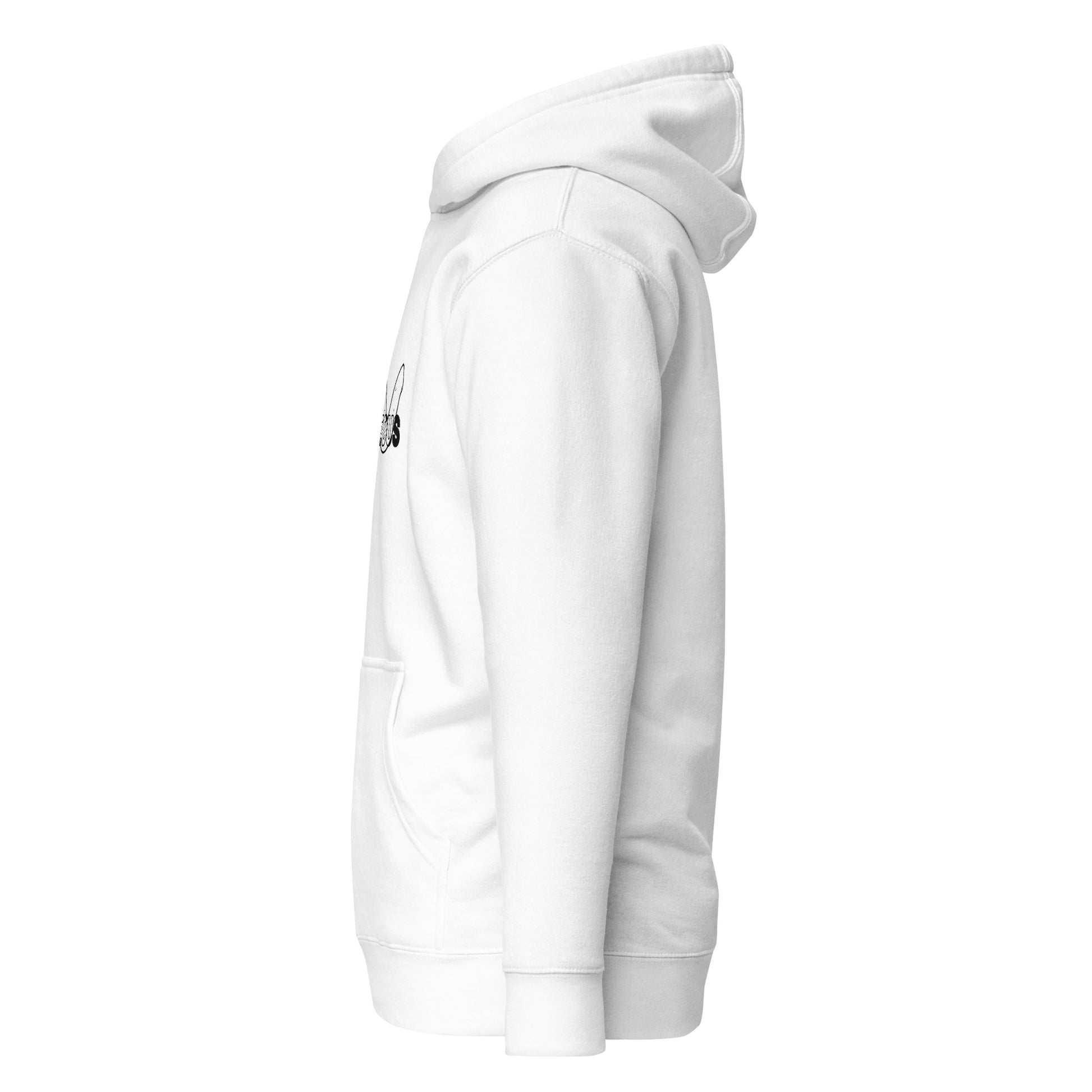 Gorgeous Opulent Allure Hoodie - FLAKOUT